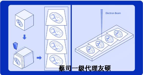 怒江蔡司怒江扫描电镜