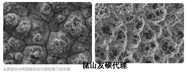 怒江蔡司怒江扫描电镜