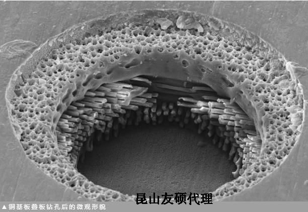 怒江蔡司怒江扫描电镜